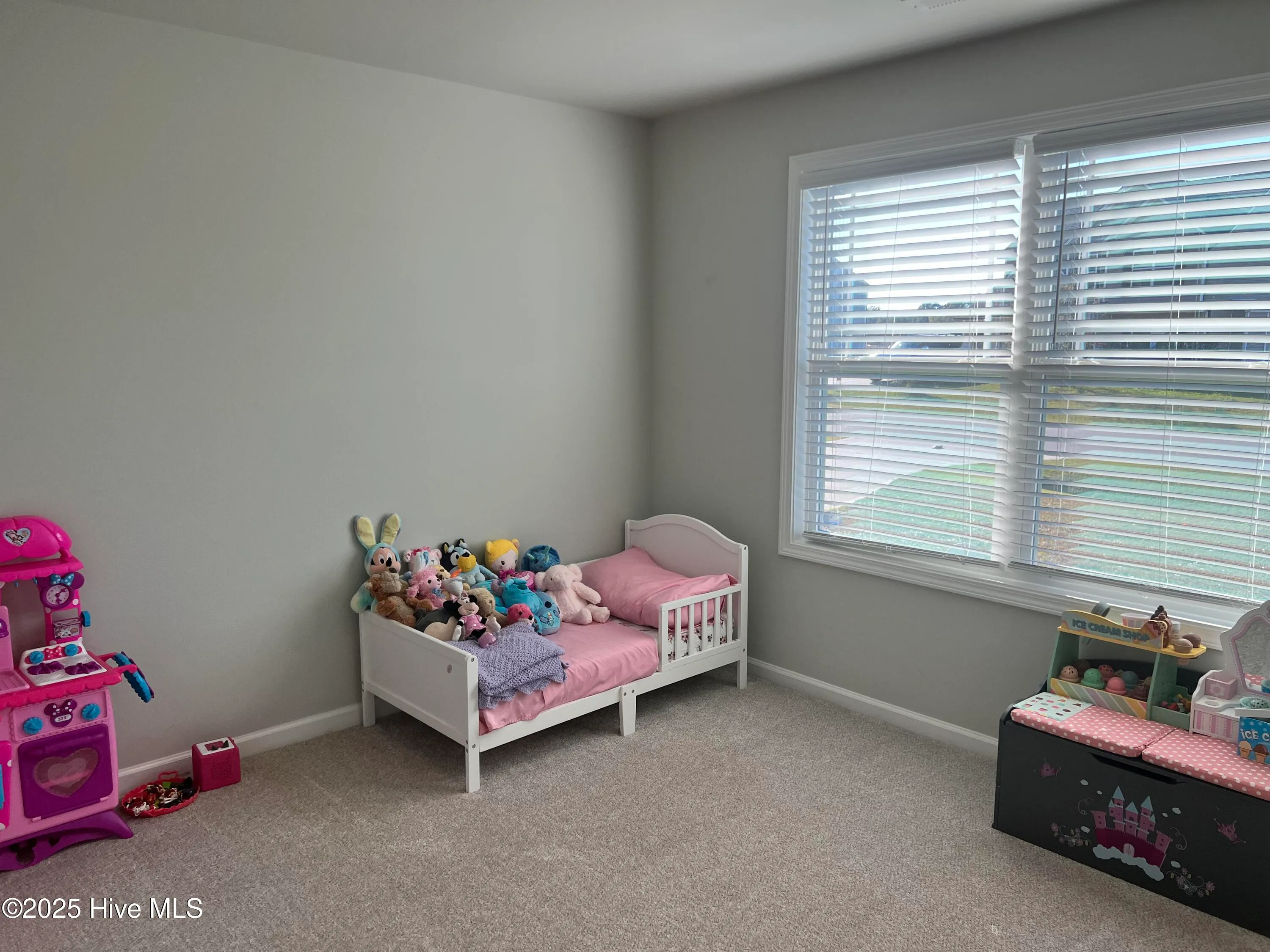 Goldsboro, North Carolina 27534, United States, 3 Bedrooms Bedrooms, ,2 BathroomsBathrooms,Residential,Active,13276