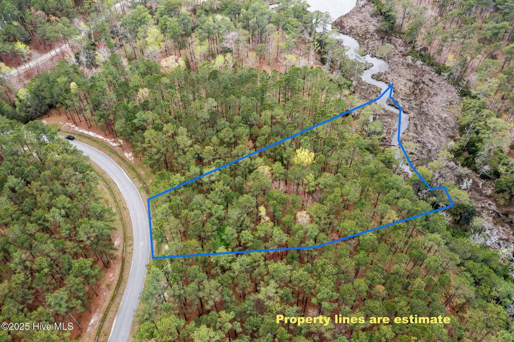 Photo of 222 Madison Avenue, Oriental, NC 28571 (MLS # 100487776)