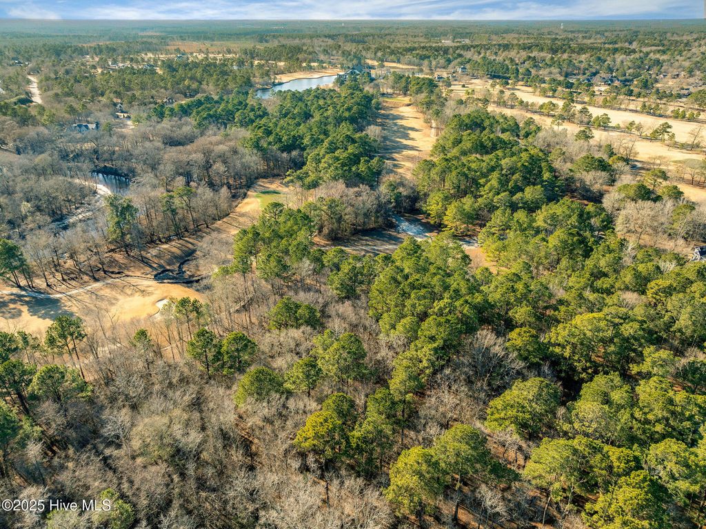 Photo of 111 Pond Landing Drive, Wallace, NC 28466 (MLS # 100482956)