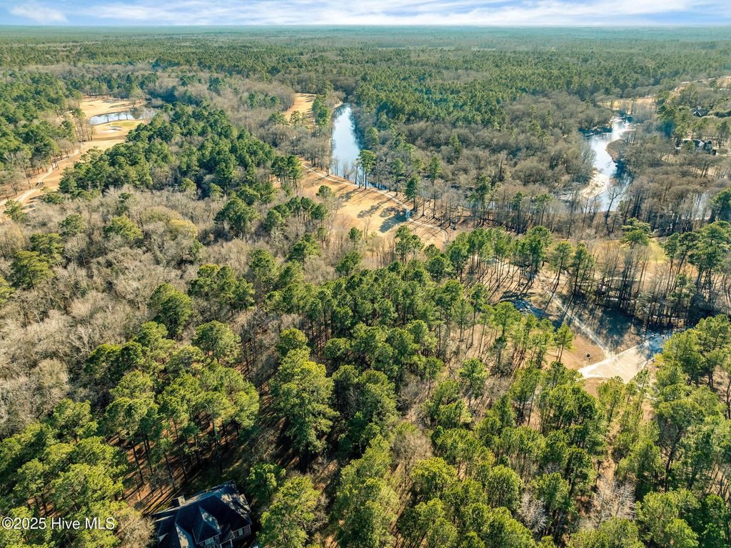 Photo of 111 Pond Landing Drive, Wallace, NC 28466 (MLS # 100482956)