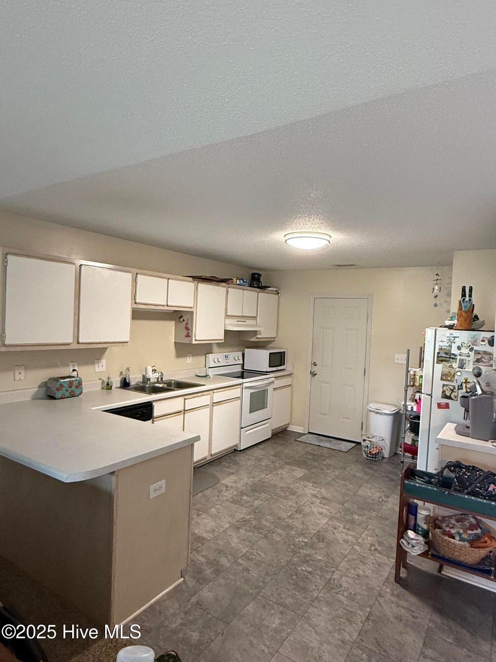 Photo of 101 Charlton Road, Hubert, NC 28539 (MLS # 100535544)