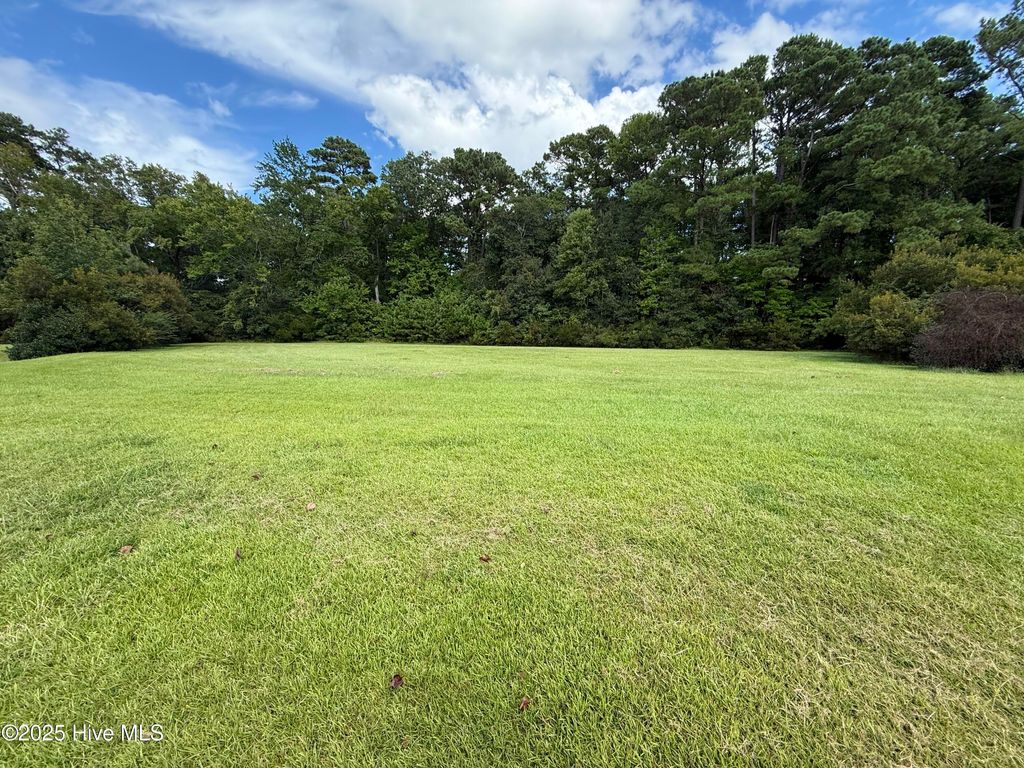 Photo of 61 Edna Court, Arapahoe, NC 28510 (MLS # 100529467)