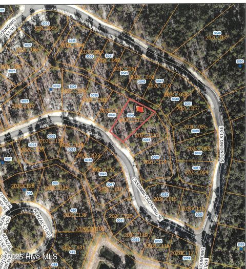 Tiny photo for 3042 Cassimir Crossing SE, Bolivia, NC 28422 (MLS # 100534569)