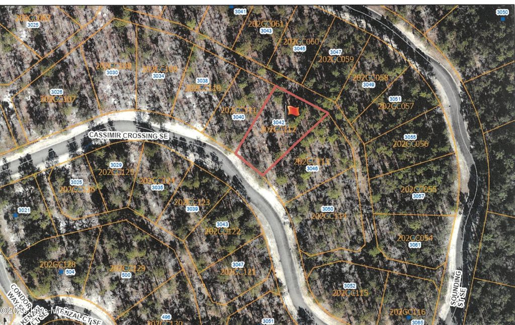 Photo of 3042 Cassimir Crossing SE, Bolivia, NC 28422 (MLS # 100534569)