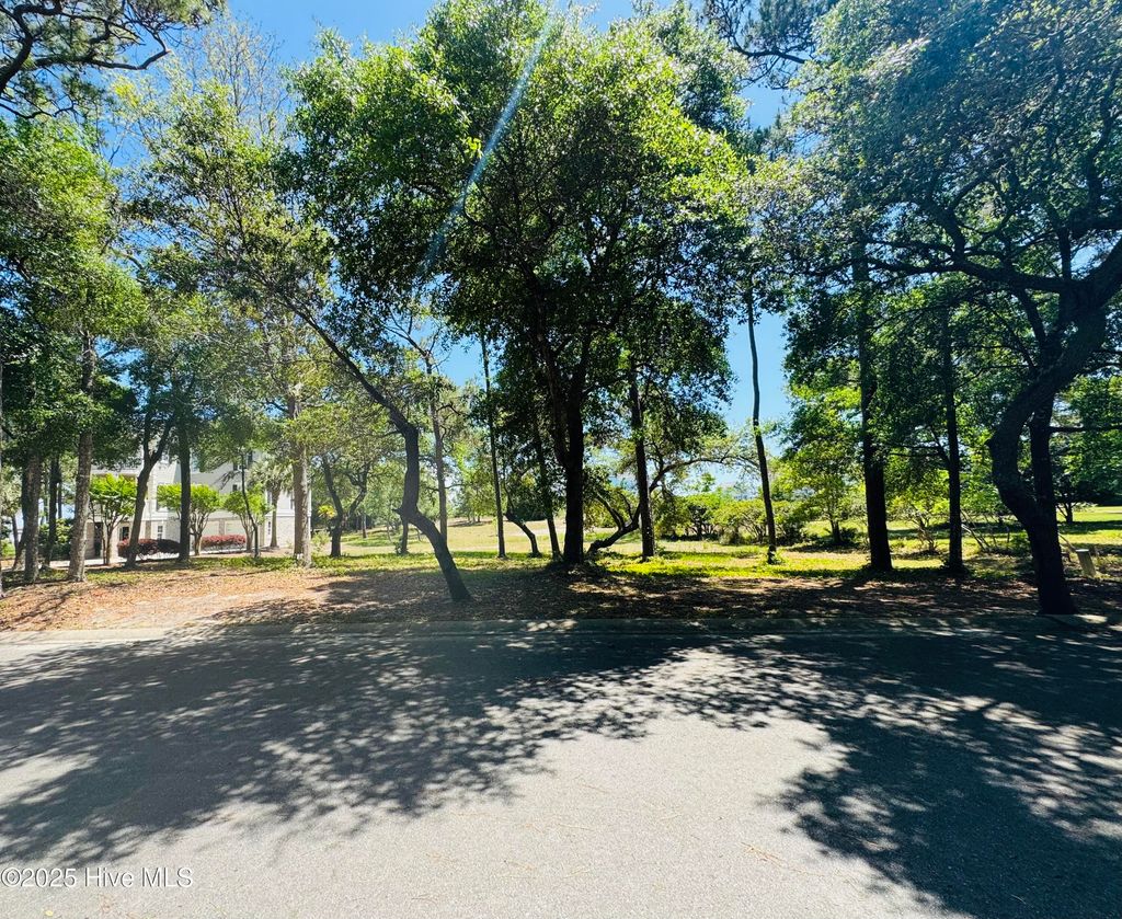Photo of 677 Beaufain Street SW, Supply, NC 28462 (MLS # 100505510)