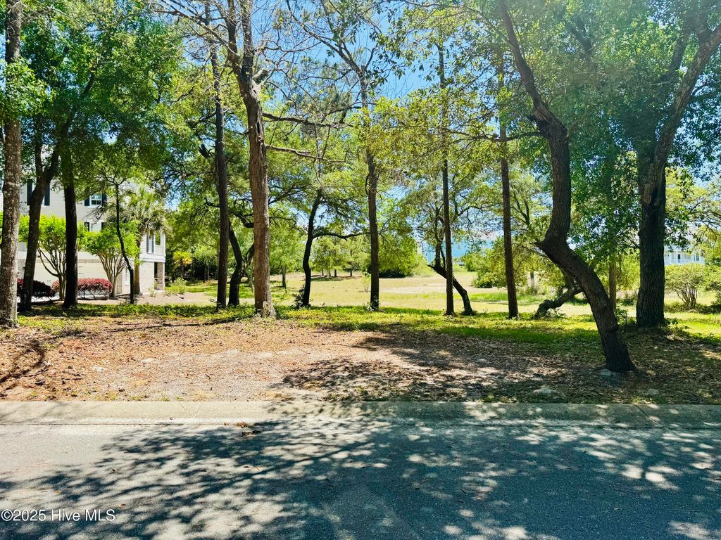 Photo of 677 Beaufain Street SW, Supply, NC 28462 (MLS # 100505510)
