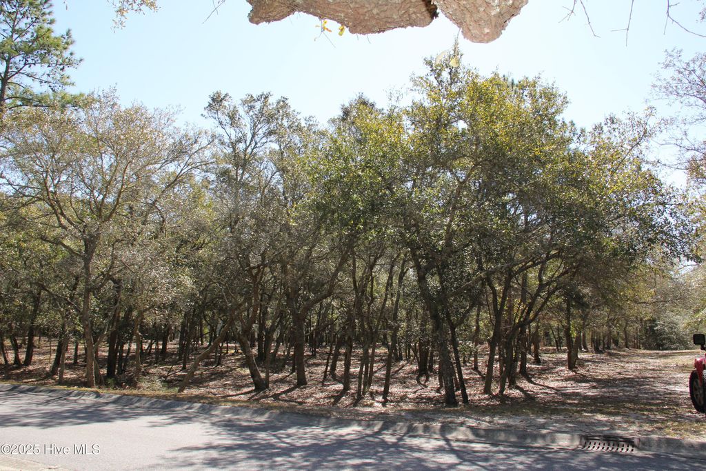 Photo of 587 S Seascape Boulevard SW, Supply, NC 28462 (MLS # 100496569)