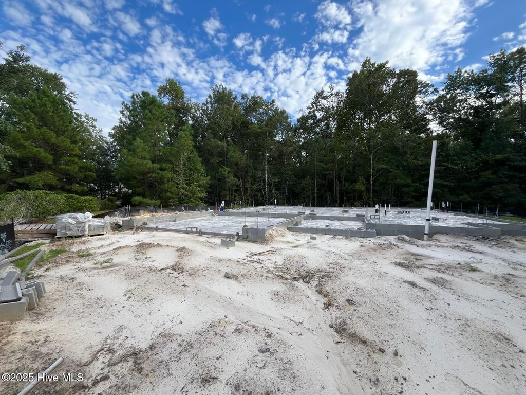 Photo of 1401 Pindo Court SE, Bolivia, NC 28422 (MLS # 100518408)