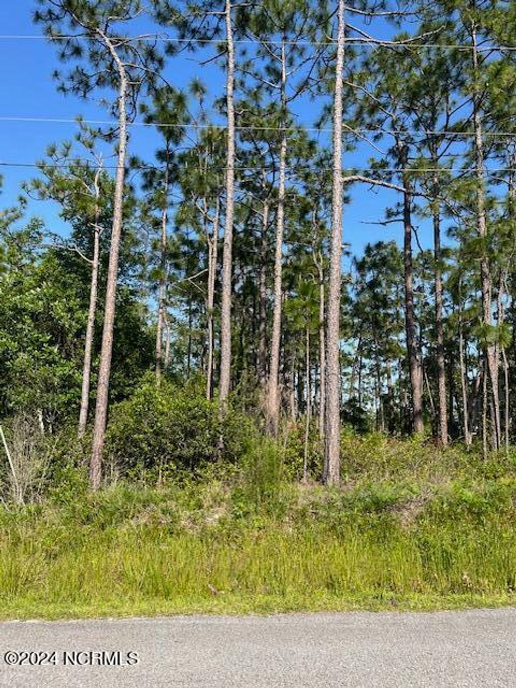 Photo of 557 Lumbee Road, Southport, NC 28461 (MLS # 100446623)