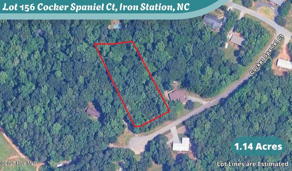 Photo of 156 Cocker Spaniel Court, Iron Station, NC 28080 (MLS # 100536503)