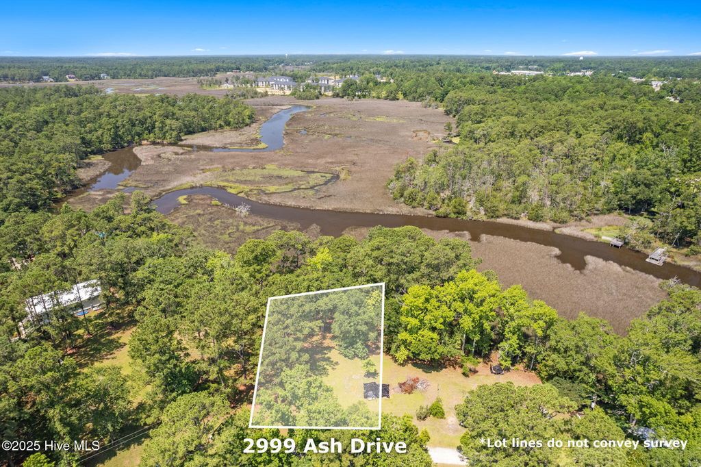 Photo of 2999 Ash Drive SW, Shallotte, NC 28470 (MLS # 100516625)