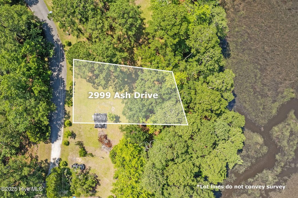 Photo of 2999 Ash Drive SW, Shallotte, NC 28470 (MLS # 100516625)