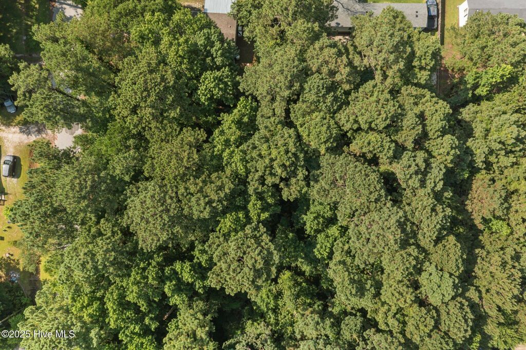 Photo of 105 Seahorse Drive, Beaufort, NC 28516 (MLS # 100516695)