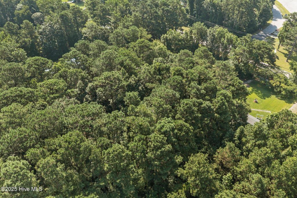 Photo of 105 Seahorse Drive, Beaufort, NC 28516 (MLS # 100516695)