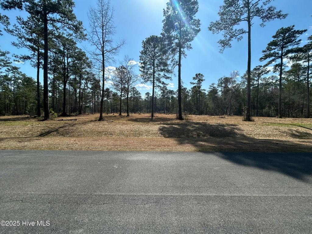 Photo of 1261 Bailey Pointe Dr Drive, Belhaven, NC 27810 (MLS # 100497545)