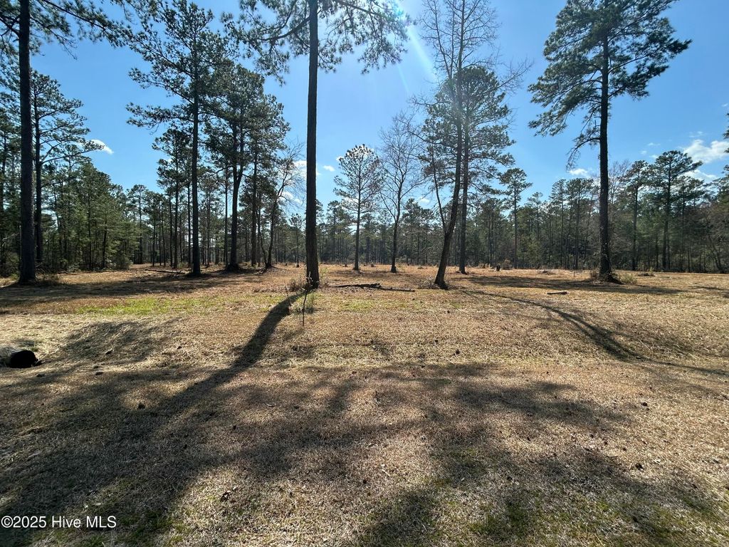 Photo of 1261 Bailey Pointe Dr Drive, Belhaven, NC 27810 (MLS # 100497545)