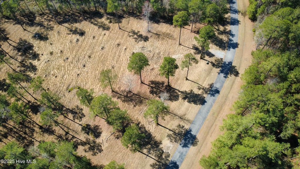 Photo of 1261 Bailey Pointe Dr Drive, Belhaven, NC 27810 (MLS # 100497545)