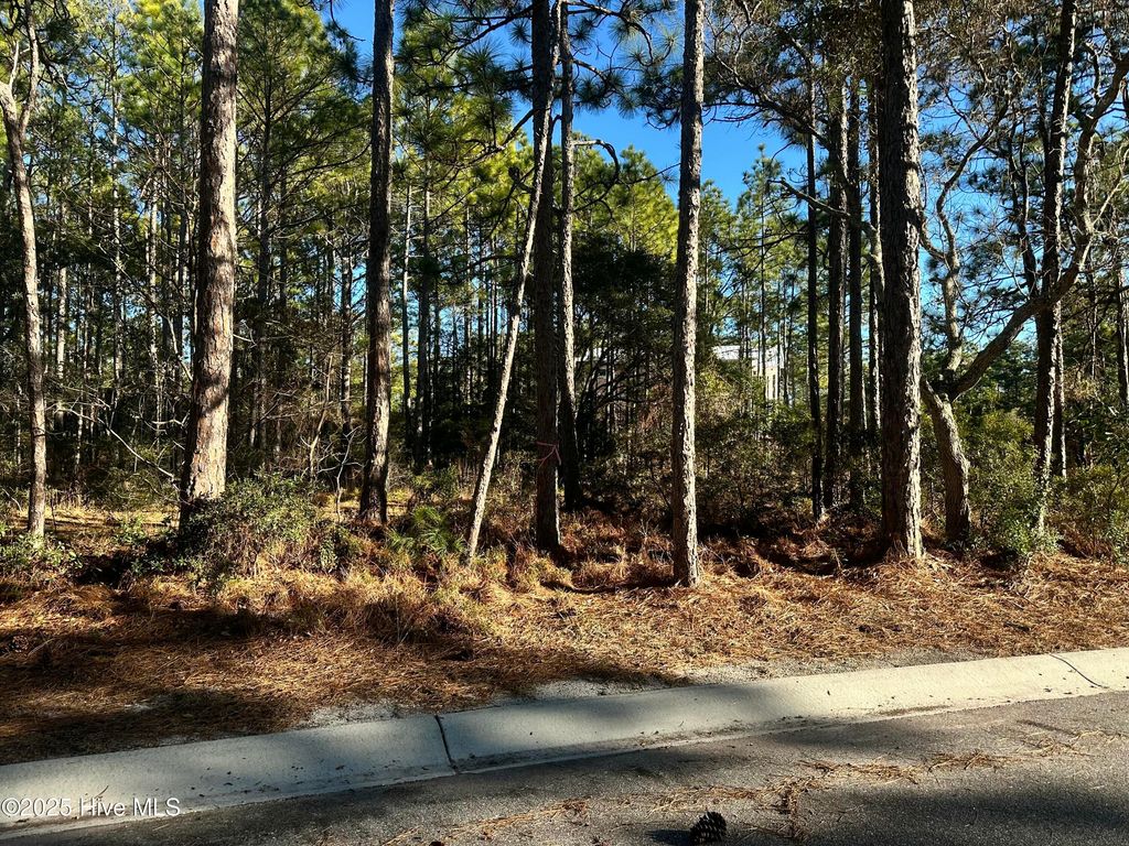 Photo of 1528 St Vincent Drive SW, Shallotte, NC 28470 (MLS # 100459914)