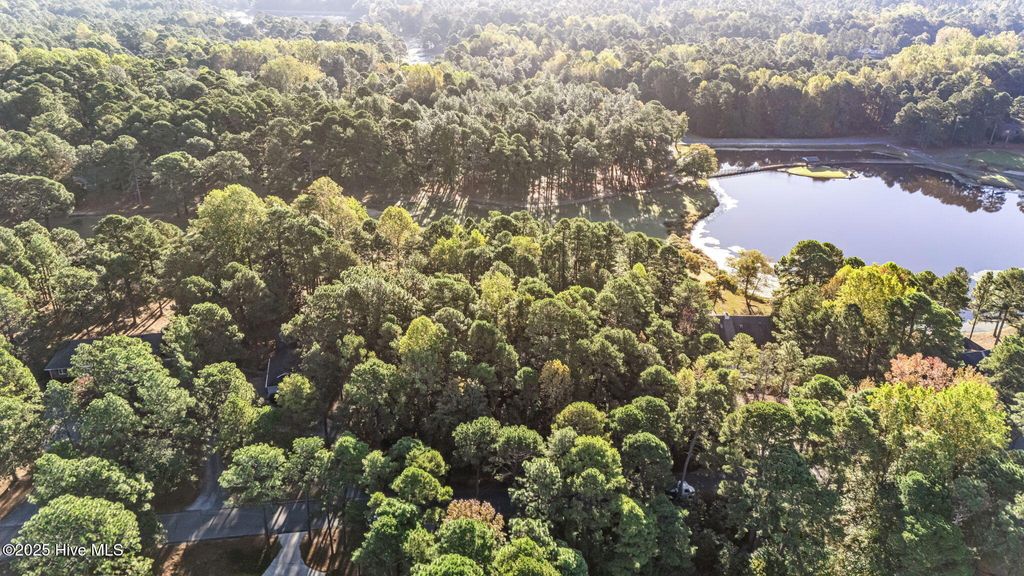 Photo of 129131 Hastings Road, Seven Lakes, NC 27376 (MLS # 100537941)