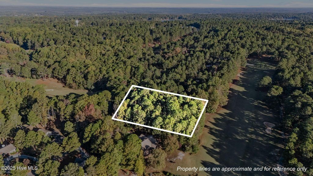 Photo of 129131 Hastings Road, Seven Lakes, NC 27376 (MLS # 100537941)