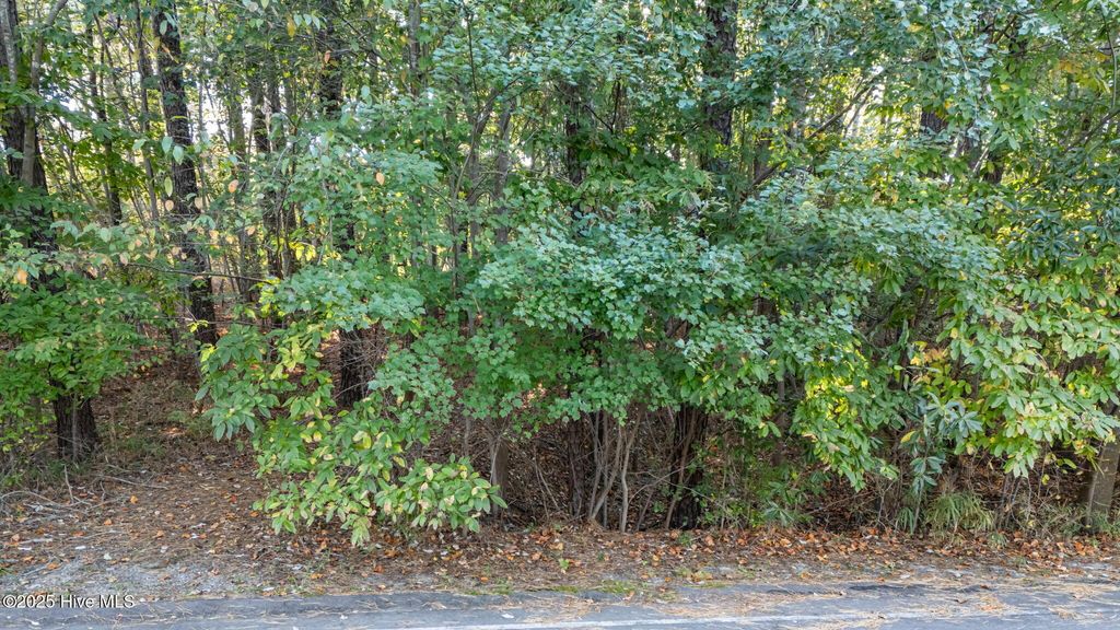 Photo of 129131 Hastings Road, Seven Lakes, NC 27376 (MLS # 100537941)