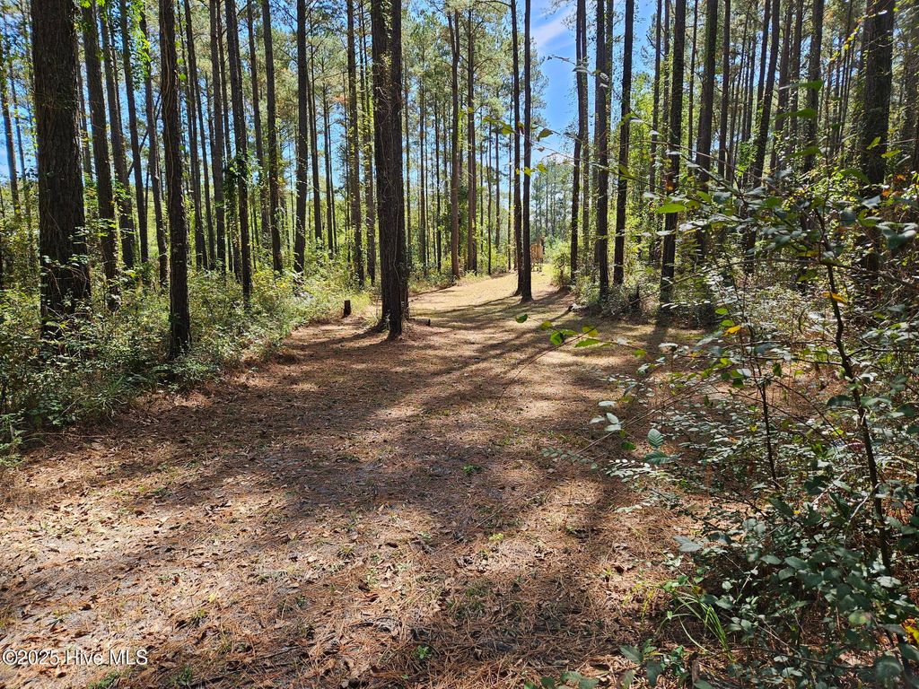 Photo of 12 River Haven Lane, Harrells, NC 28444 (MLS # 100535797)