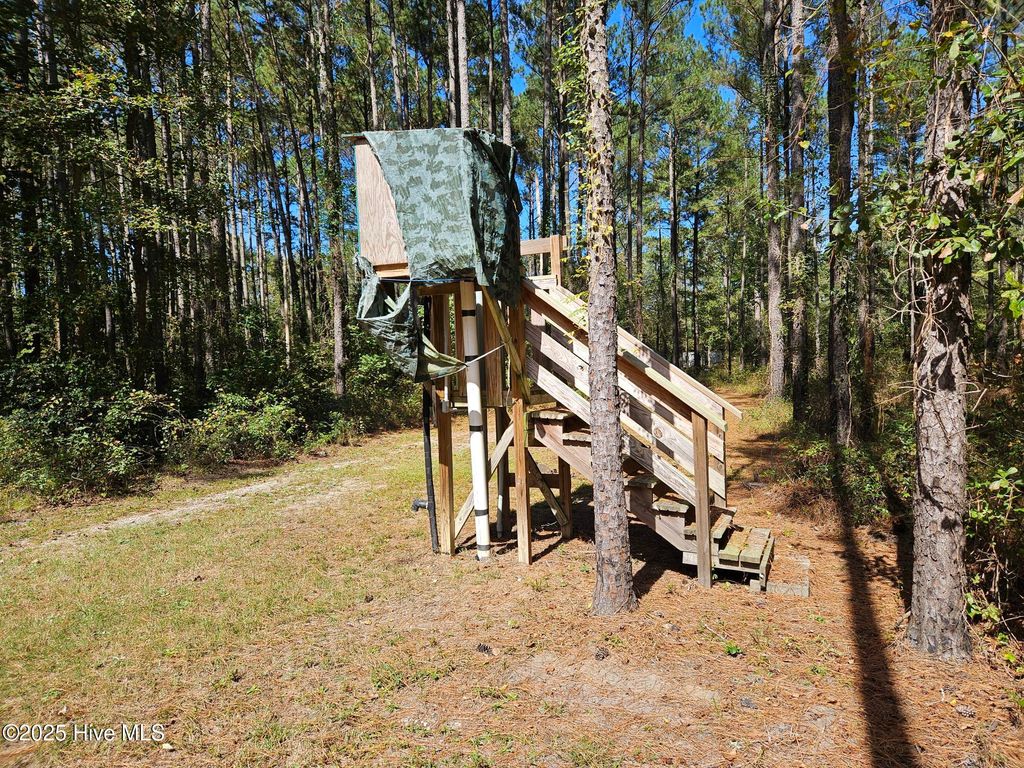 Photo of 12 River Haven Lane, Harrells, NC 28444 (MLS # 100535797)