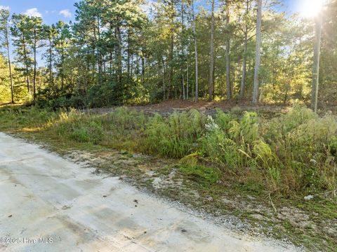 Tiny photo for 252 Newbold Road, Jacksonville, NC 28540 (MLS # 100539156)