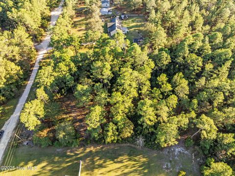 Tiny photo for 252 Newbold Road, Jacksonville, NC 28540 (MLS # 100539156)