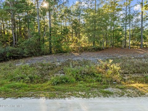 Tiny photo for 252 Newbold Road, Jacksonville, NC 28540 (MLS # 100539156)