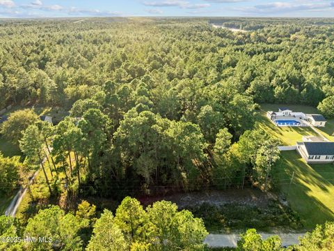 Tiny photo for 252 Newbold Road, Jacksonville, NC 28540 (MLS # 100539156)