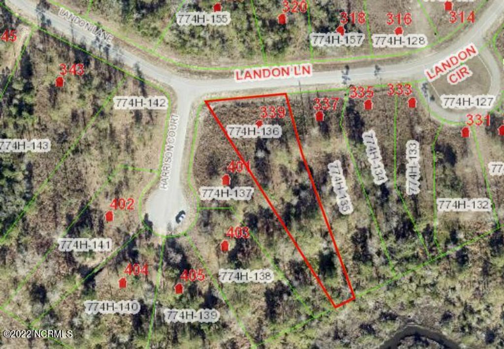 Photo of 339 Landon Lane, Sneads Ferry, NC 28460 (MLS # 100523765)