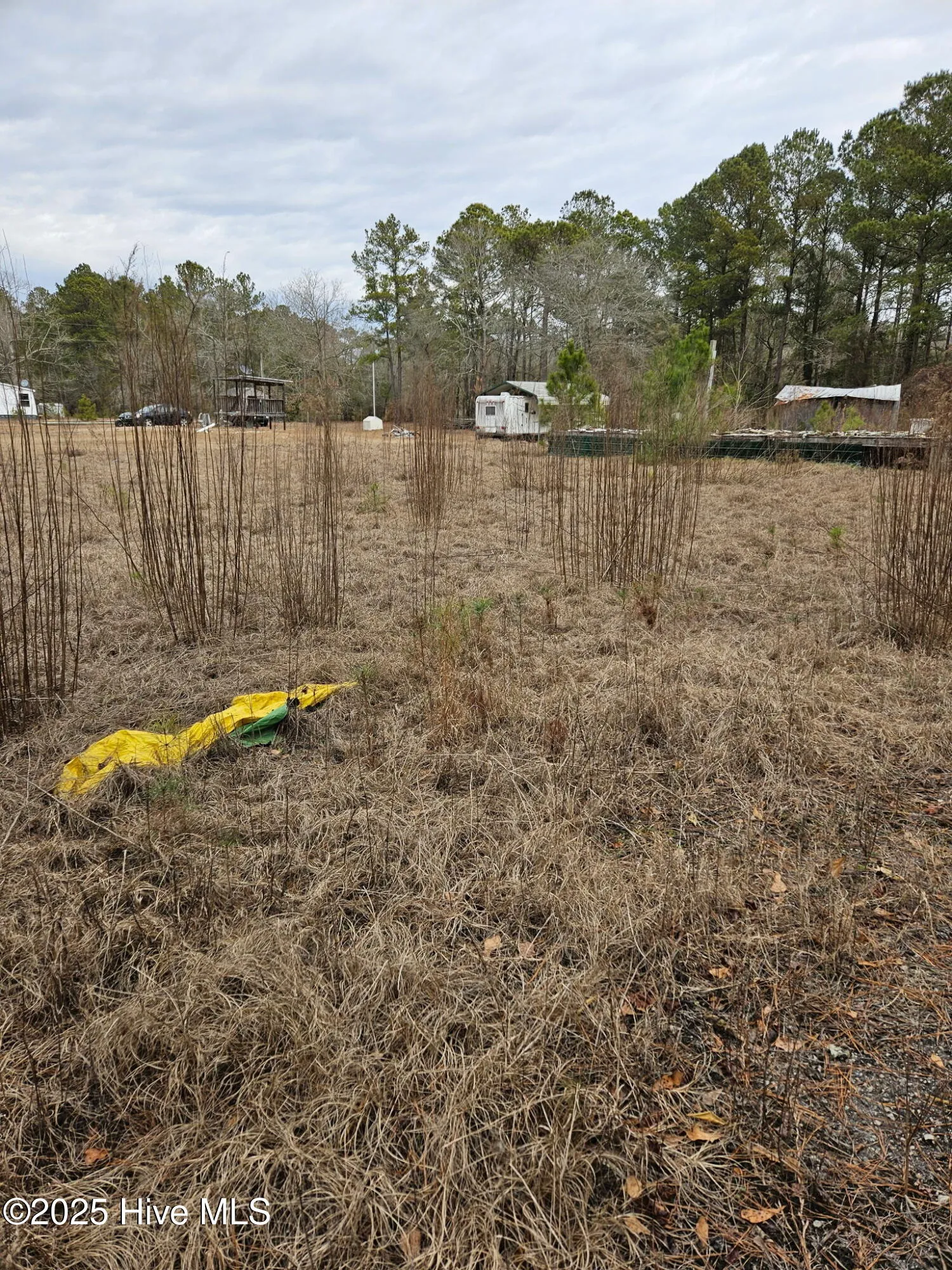 Burgaw, North Carolina 28425, United States, ,Land,Active,16118