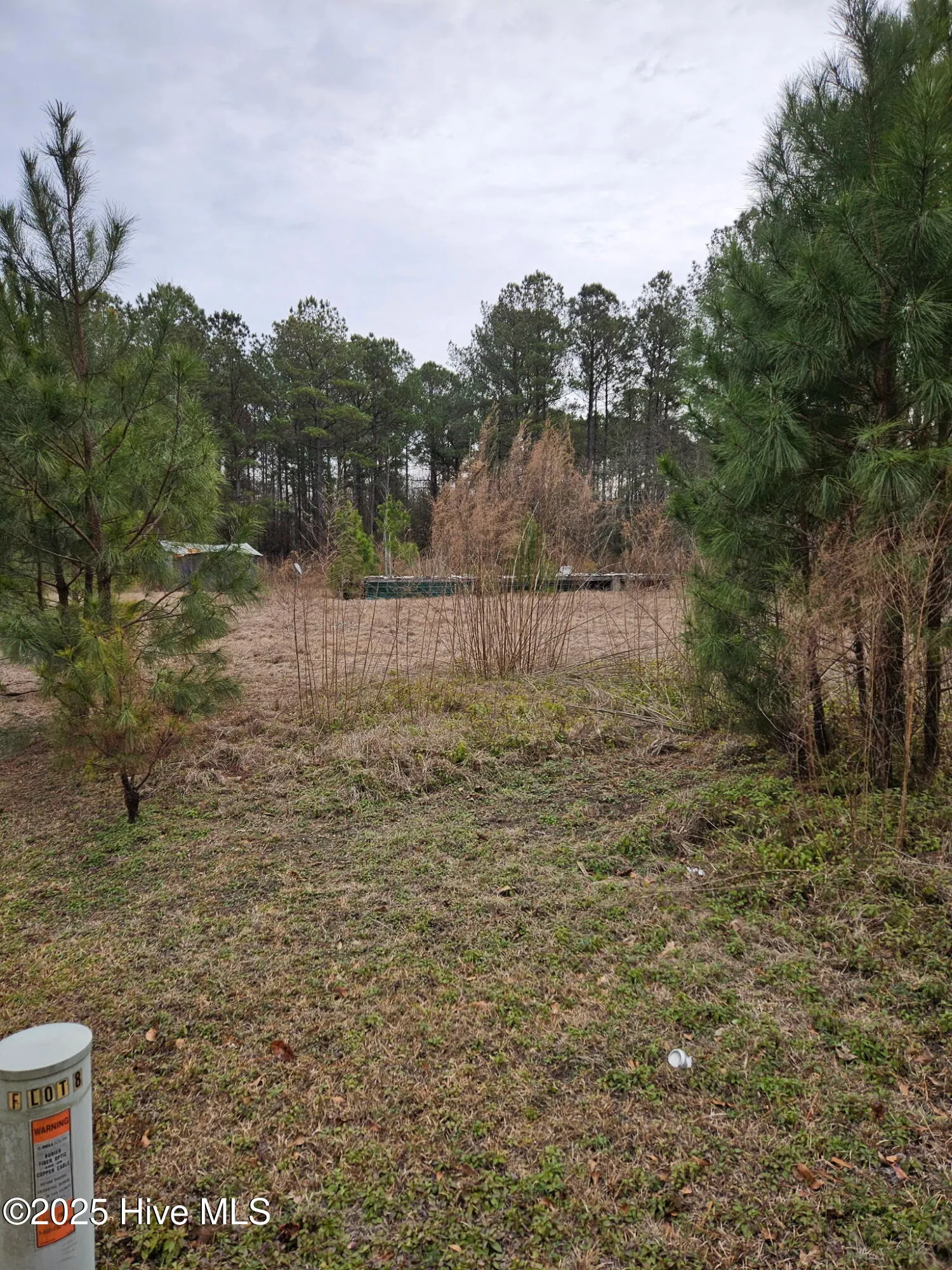 Burgaw, North Carolina 28425, United States, ,Land,Active,16118