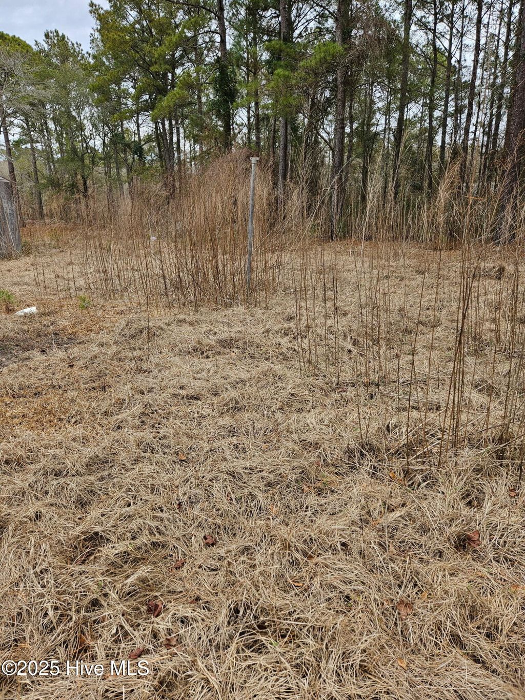 Photo of 247 Old Ramsey Road, Burgaw, NC 28425 (MLS # 100484761)