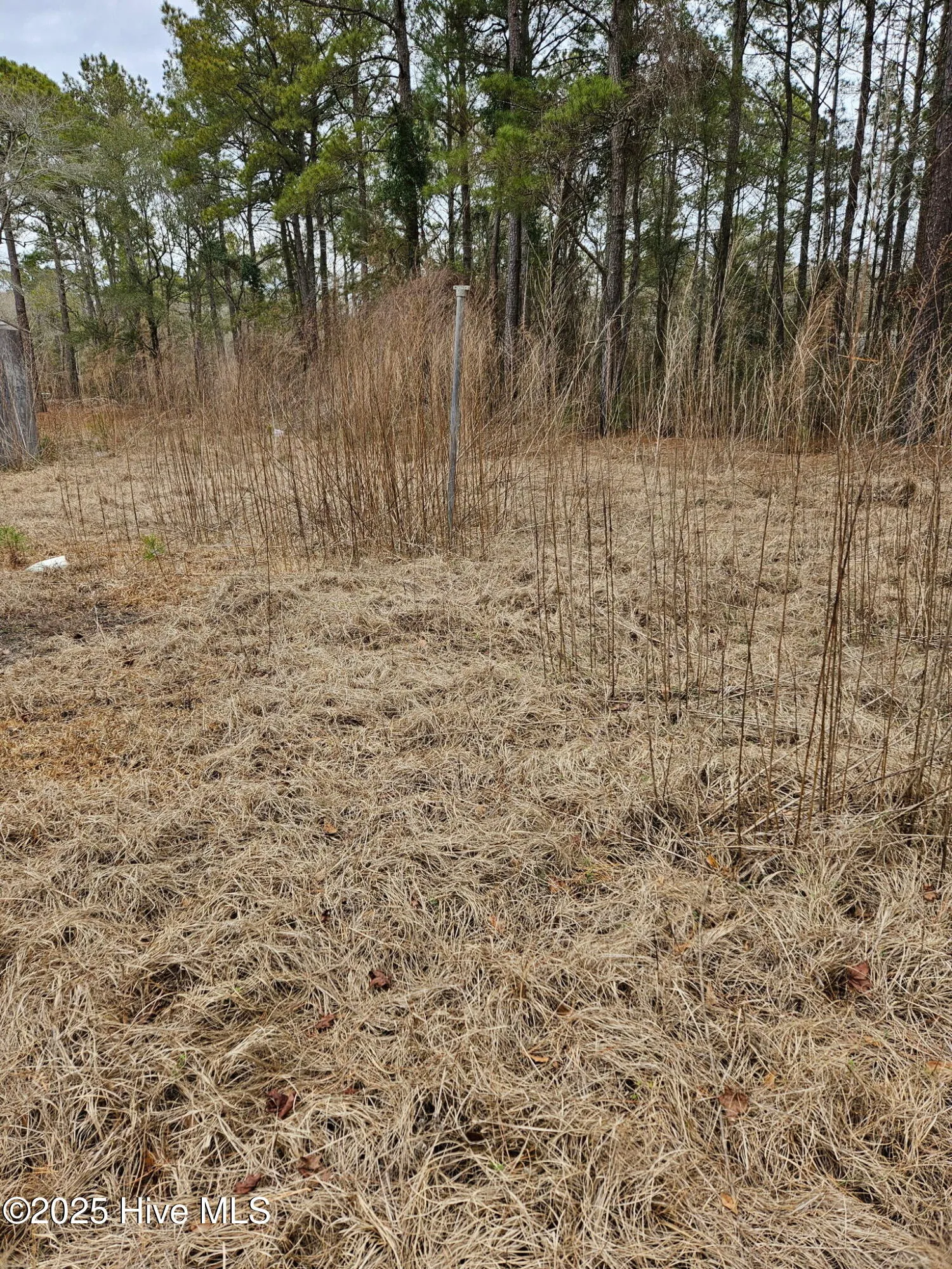 Burgaw, North Carolina 28425, United States, ,Land,Active,16118