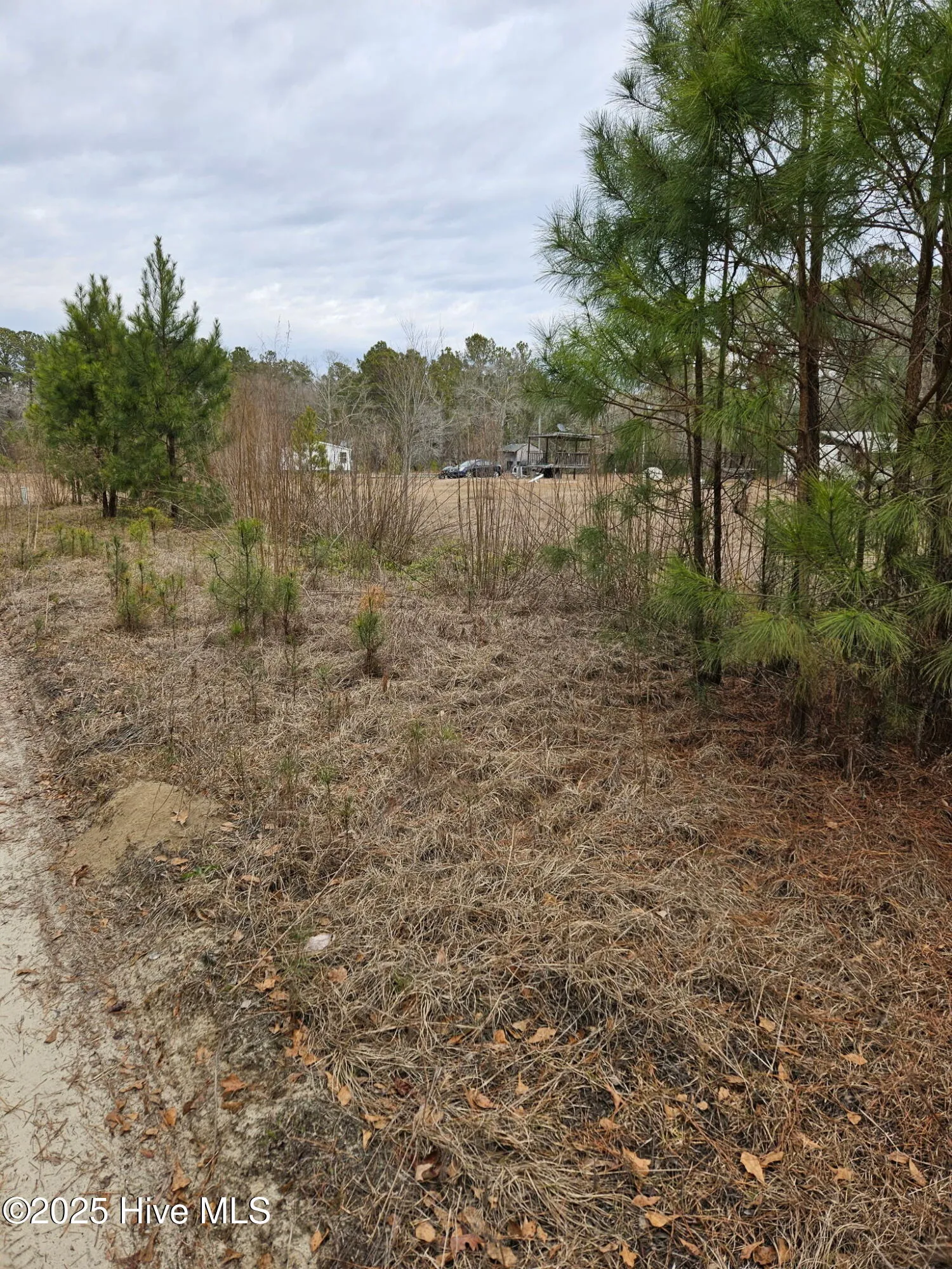 Burgaw, North Carolina 28425, United States, ,Land,Active,16118