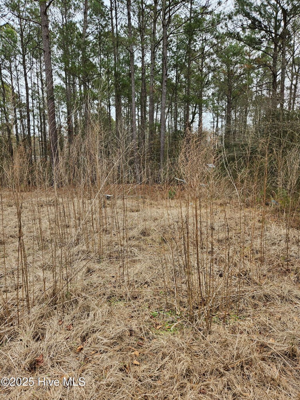 Photo of 247 Old Ramsey Road, Burgaw, NC 28425 (MLS # 100484761)