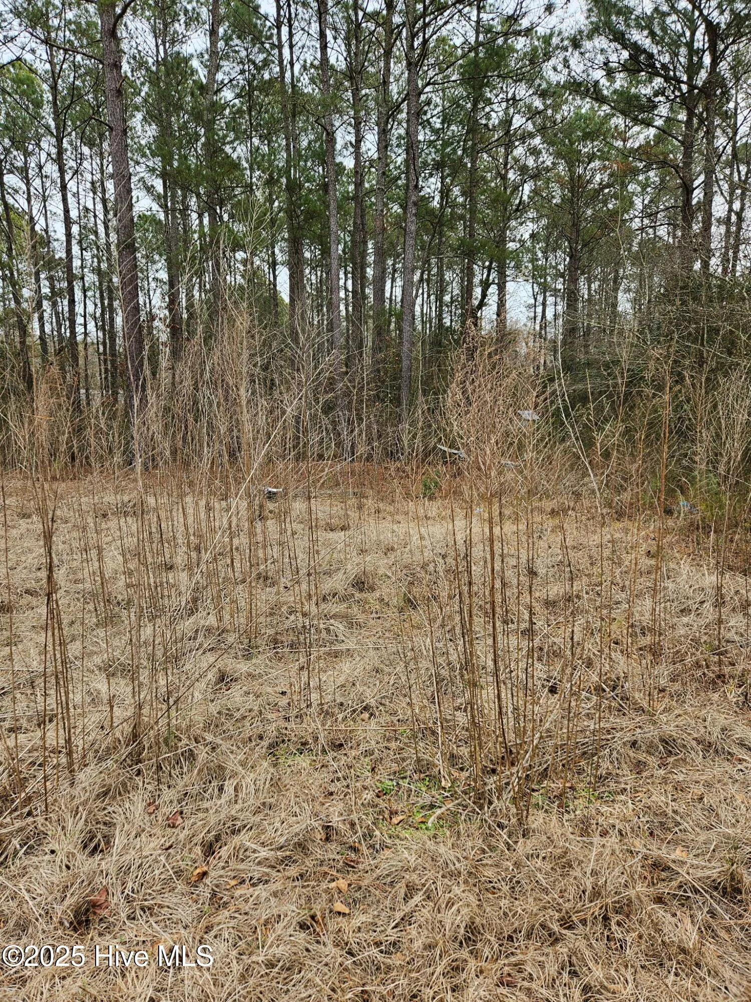 Burgaw, North Carolina 28425, United States, ,Land,Active,16118