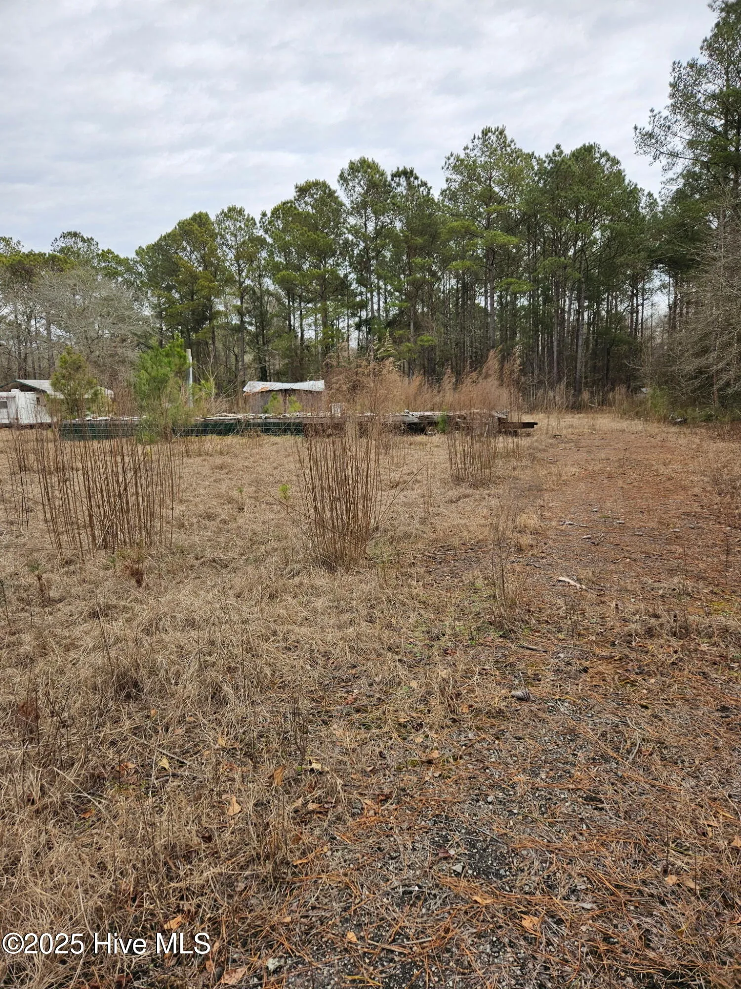 Burgaw, North Carolina 28425, United States, ,Land,Active,16118