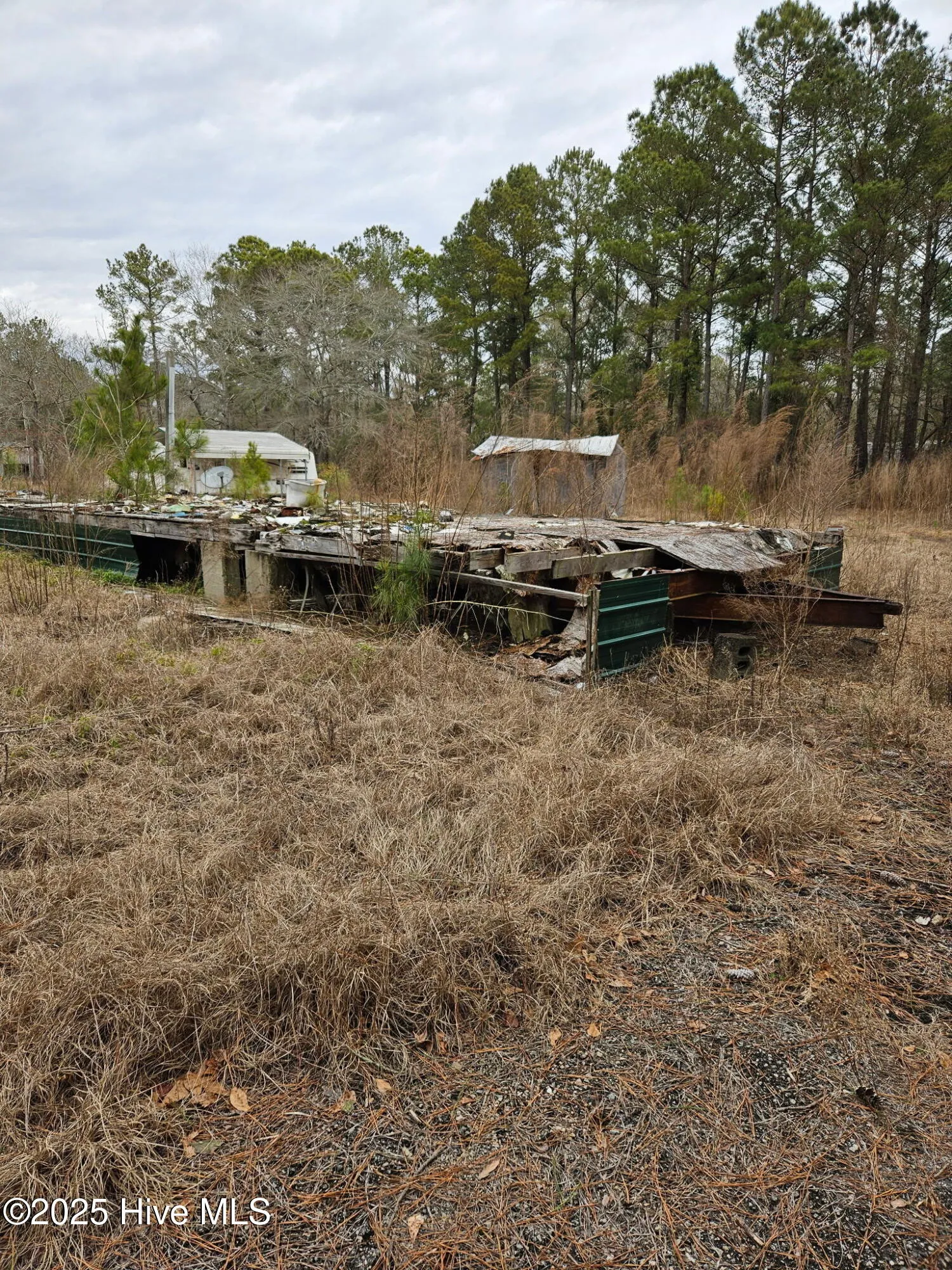 Burgaw, North Carolina 28425, United States, ,Land,Active,16118