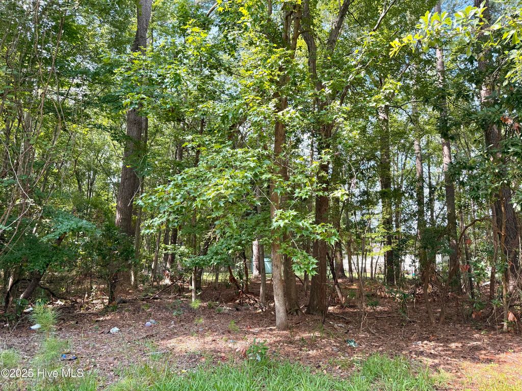 Photo of 2206 Nelson Street, New Bern, NC 28562 (MLS # 100521786)