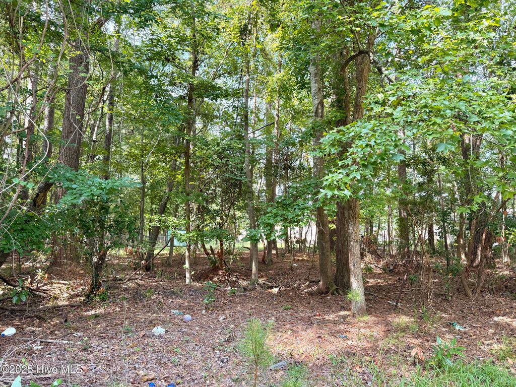 Photo of 2206 Nelson Street, New Bern, NC 28562 (MLS # 100521786)