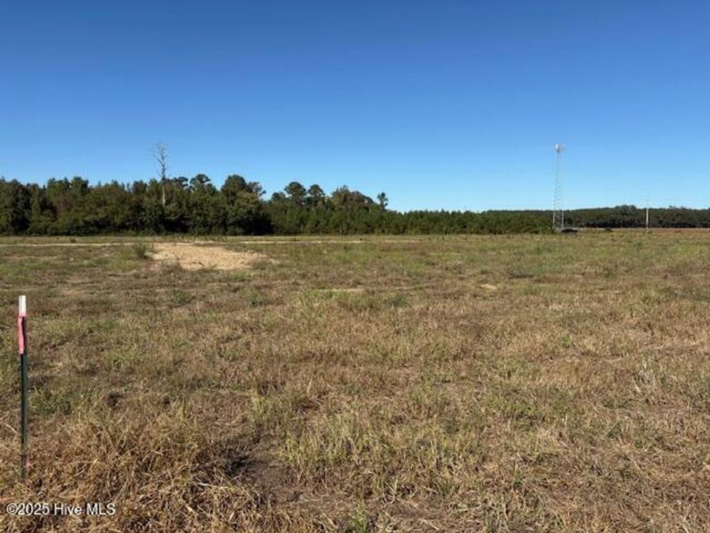 Photo of 2 Nc 102 E, Ayden, NC 28513 (MLS # 100537129)