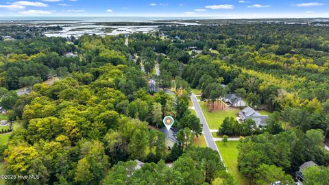 Tiny photo for 167 Hydrangea Lane, Hampstead, NC 28443 (MLS # 100534700)