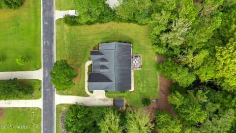 Tiny photo for 167 Hydrangea Lane, Hampstead, NC 28443 (MLS # 100534700)