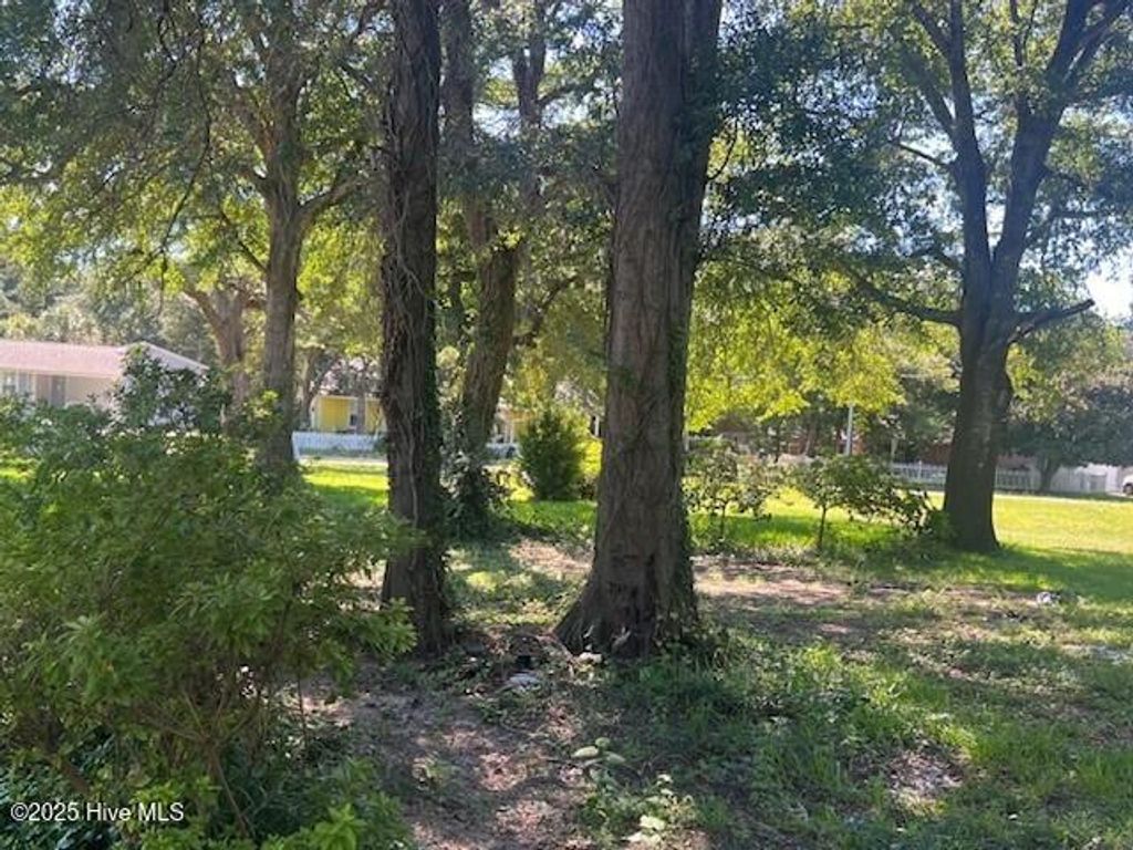 Photo of 204 Savannah Avenue, Morehead City, NC 28557 (MLS # 100529123)