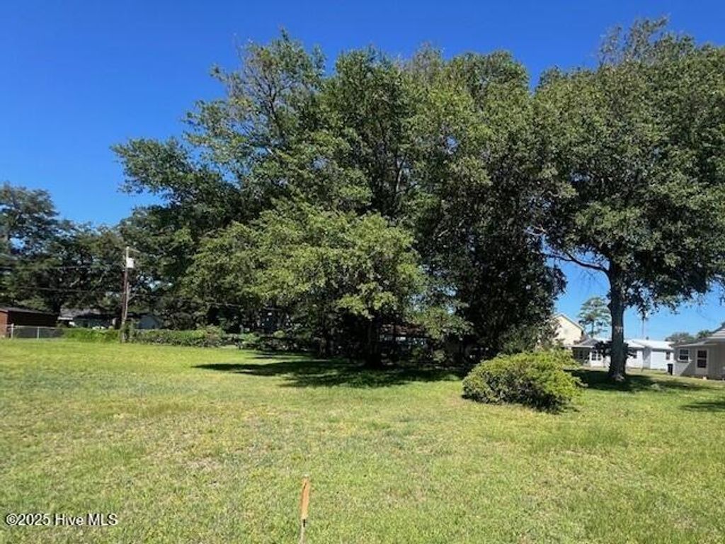 Photo of 204 Savannah Avenue, Morehead City, NC 28557 (MLS # 100529123)