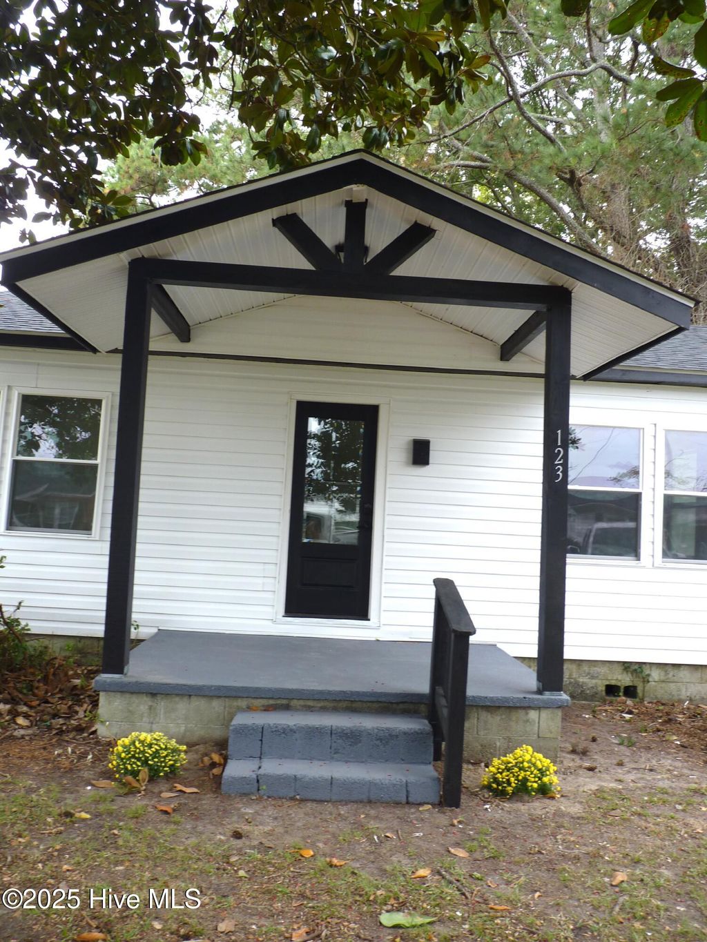 Photo of 123 Jackson Street, Edenton, NC 27932 (MLS # 100535129)