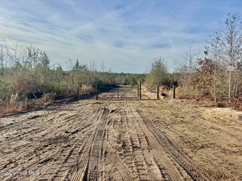 Photo of 350 Dowd Dairy Road, White Oak, NC 28399 (MLS # 100543912)